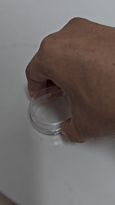 Tablet Splitter & Container